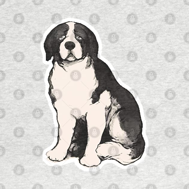 Vintage sad Saint Bernard dog by Marccelus